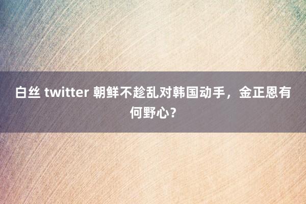 白丝 twitter 朝鲜不趁乱对韩国动手，金正恩有何野心？