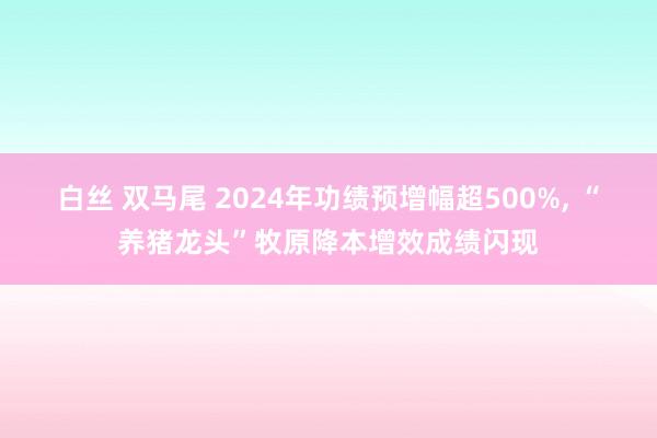 白丝 双马尾 2024年功绩预增幅超500%， “养猪龙头”牧原降本增效成绩闪现