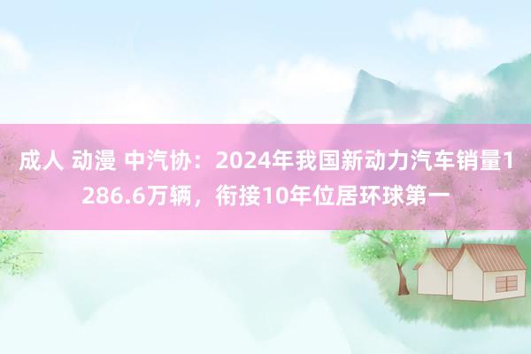 成人 动漫 中汽协：2024年我国新动力汽车销量1286.6万辆，衔接10年位居环球第一