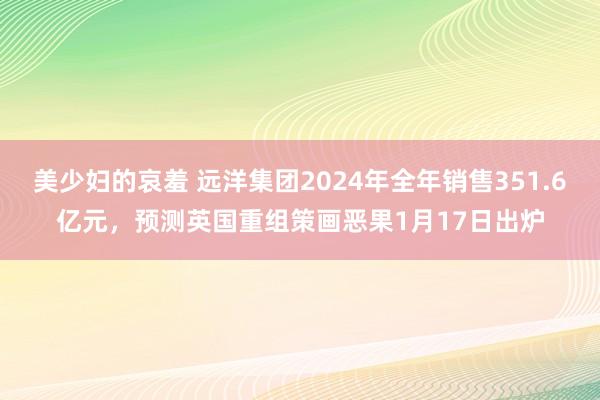 美少妇的哀羞 远洋集团2024年全年销售351.6亿元，预测英国重组策画恶果1月17日出炉