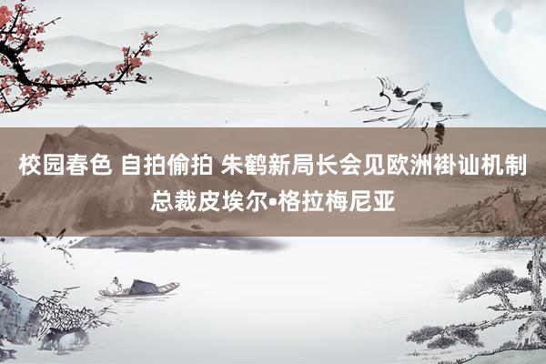 校园春色 自拍偷拍 朱鹤新局长会见欧洲褂讪机制总裁皮埃尔•格拉梅尼亚